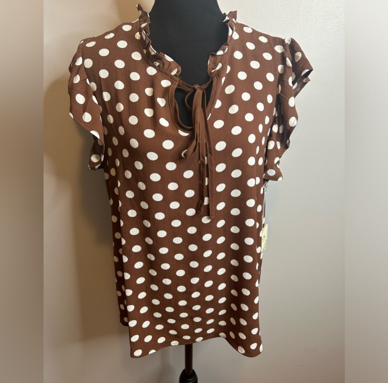 PL~NWT Brown/ White Polka Dot Top