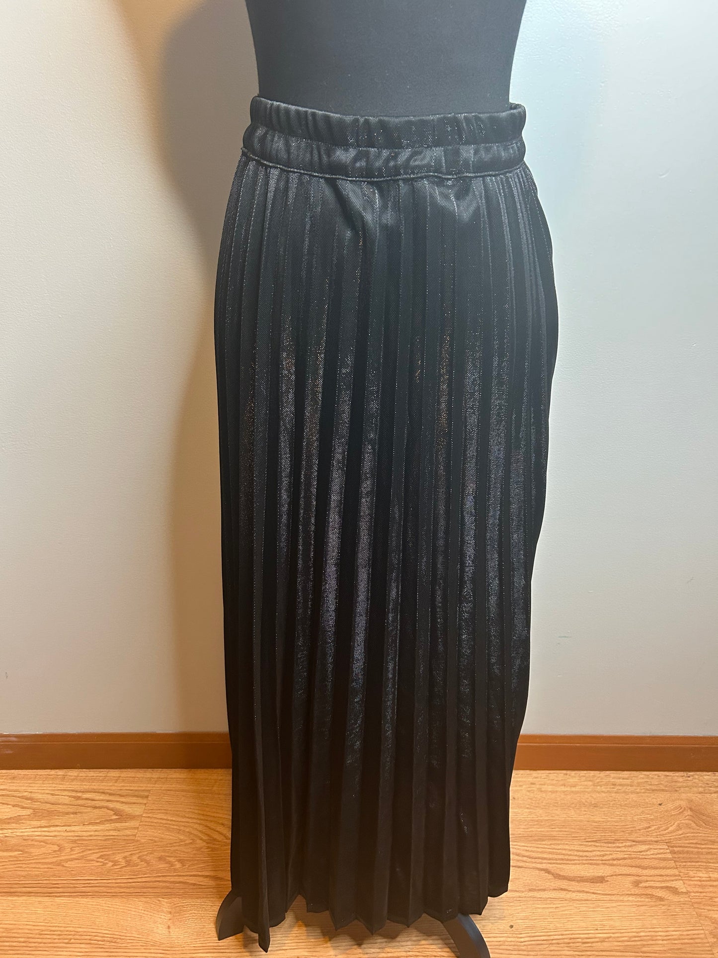 NWT Chartou Pleat Skirt