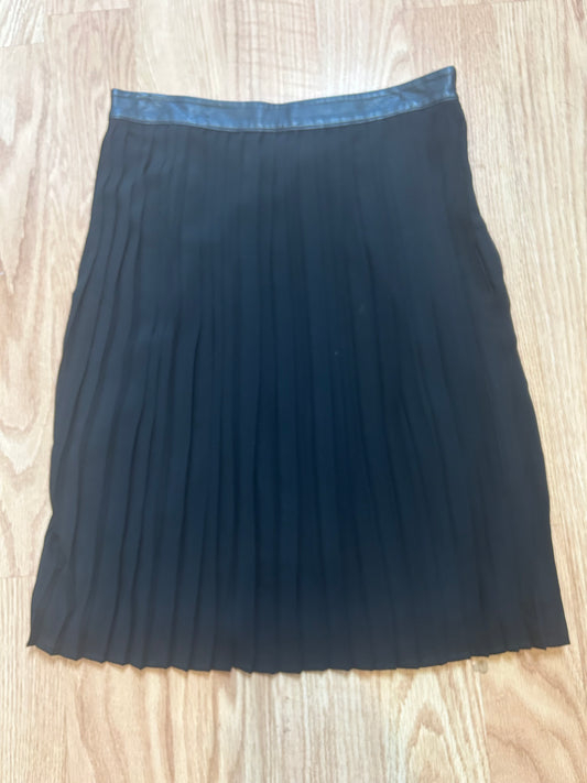 PL~ Pleated Sheer Skirt -Disc