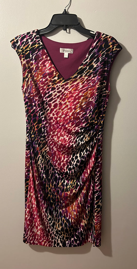 PL~ Dressbarn  Multi Midi Dress